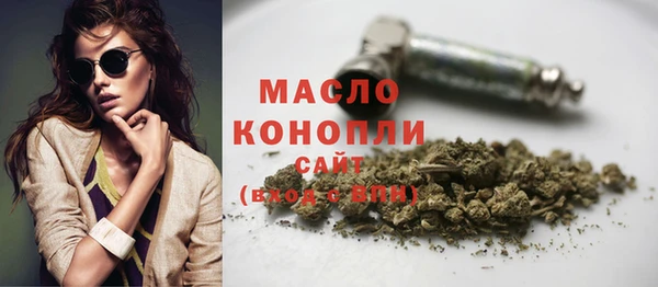 индика Арсеньев