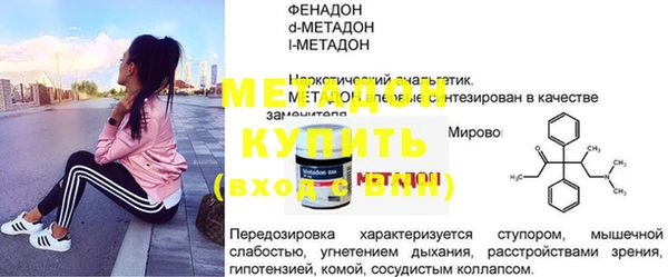 индика Арсеньев