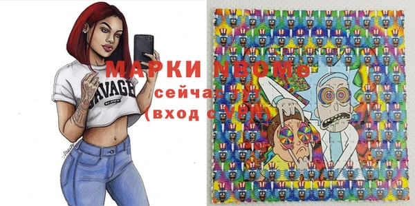 индика Арсеньев