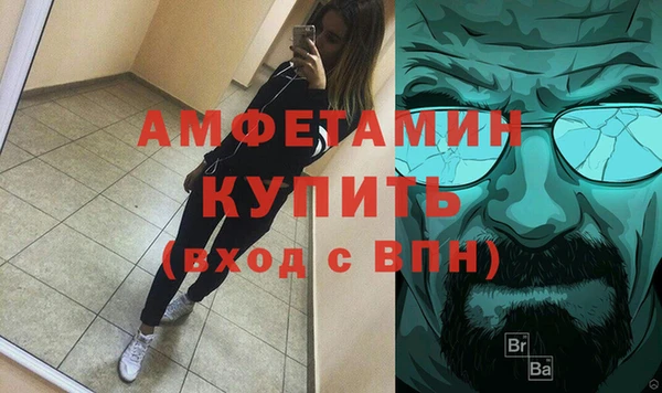 индика Арсеньев