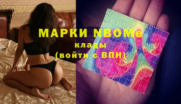индика Арсеньев
