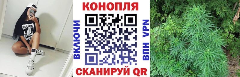 Конопля гибрид  даркнет сайт  Россошь 